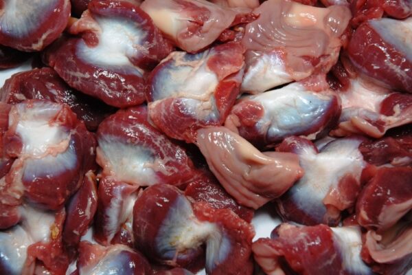 Chicken Gizzards